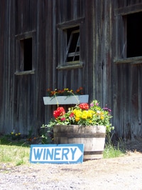 Excursión privada: Excursión de día completo a la región vinícola de Fraser Valley desde Vancouver