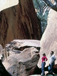 3 días de Uluru a Alice Springs a través de Kings Canyon