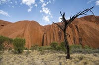 Excursão ao nascer do sol de Uluru saindo de Ayers Rock