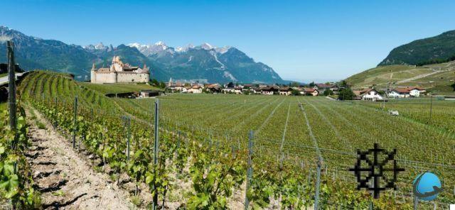 Wine break: what are the most beautiful French destinations?