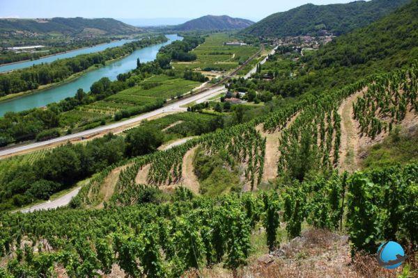 Wine break: what are the most beautiful French destinations?