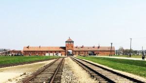 Visit Auschwitz and Birkenau: Times, prices and routes