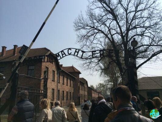 Visit Auschwitz and Birkenau: Times, prices and routes