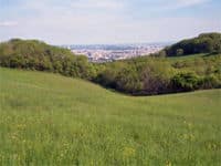 Kahlenberg Guided Nature Tour from Vienna