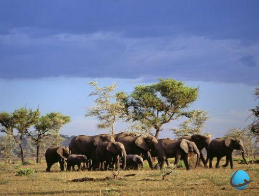 Botswana, 5 good reasons to discover this country