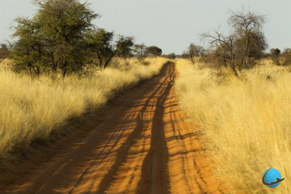 Botswana, 5 boas razões para descobrir este país