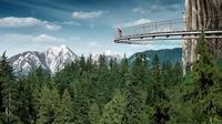 Capilano Suspension Bridge and Grouse Mountain from Vancouver