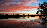2 giorni del Parco nazionale Kakadu, crociera Guluyambi e tour di Arnhem Land da Darwin