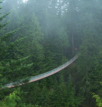 North Vancouver Shore Excursion Including Capilano Suspension Bridge and Grouse Mountain
