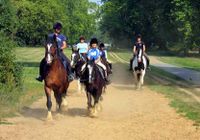 Horse riding in Hyde Park