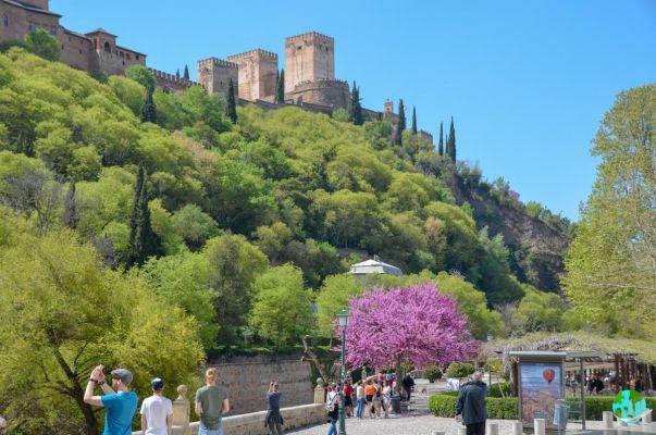 Visit Granada: What to do and see in Granada?
