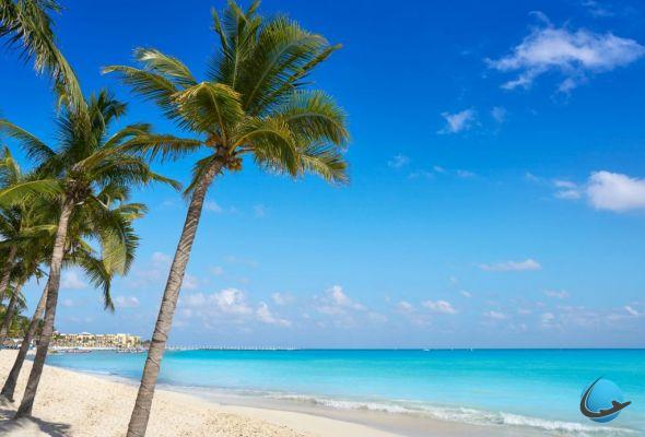Dove nuotare in Messico? Le migliori spiagge del paese