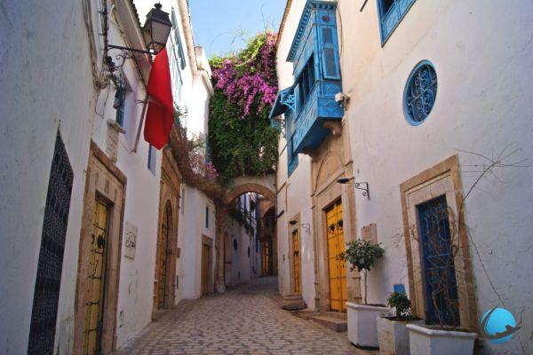 Visit Tunis: info and advice for your stay