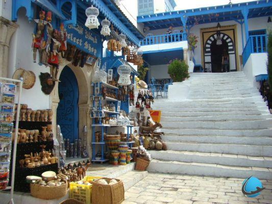 Visita Tunisi: info e consigli per il tuo soggiorno