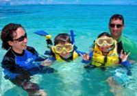 Michaelmas Cay Diving and Snorkeling Cruise from Cairns