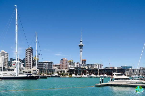 Auckland Sky Tower: tour, cena, salti