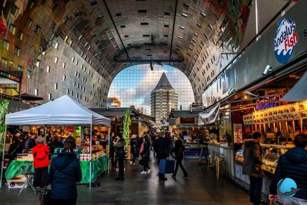 What to do in Rotterdam? 10 must-see visits not to be missed!