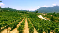 Private Day Trip to Peloponnese Wine Routes and Ancient Corinth from Athens