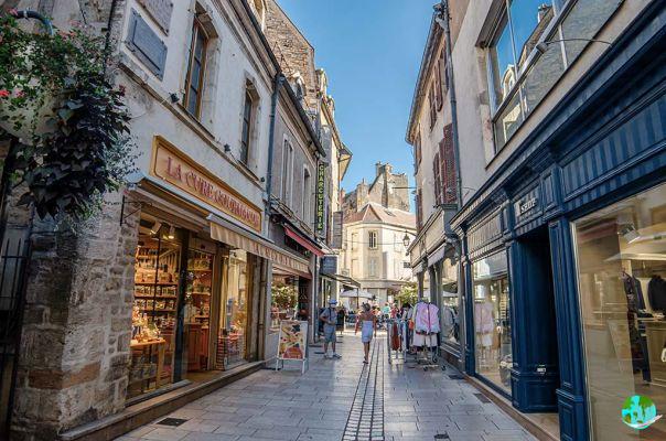 Visite Dijon: O que fazer em Dijon?