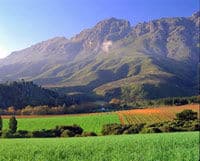 Tour del vino di Stellenbosch da Città del Capo
