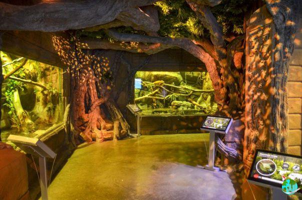 Seville Aquarium: Reviews, info and reservations