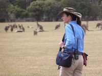 Recorrido ecológico por la sabana de Melbourne por los animales australianos