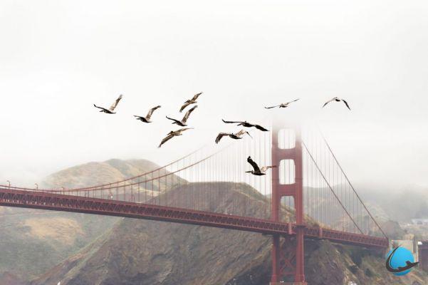 San Francisco: 3 unusual anecdotes about the Golden Gate Bridge