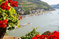 Tour por el valle del Rin desde Frankfurt, incluido el crucero por el río Rin