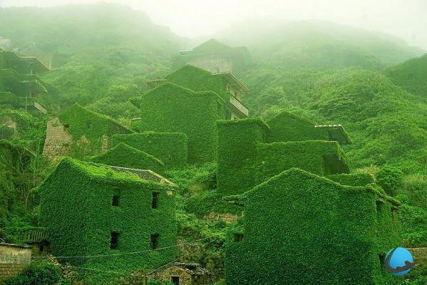 This abandoned Chinese village has been swallowed up by vegetation