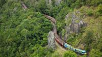 Cairns Rainforest and Waterfalls 4WD Tour with Kuranda Scenic Railway or Skyrail Rainforest Cableway