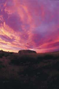 Two days of safari camping in Uluru and Kata Tjuta