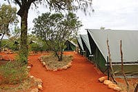 Two days of safari camping in Uluru and Kata Tjuta