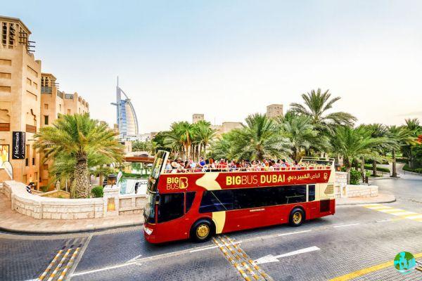 Dubai city pass: Dubai activity passes