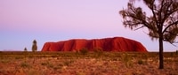 Best of Ayers Rock: Uluru Sunrise & Sunrise Kata Tjuta Sunset - Small Group Tour