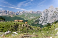 Private Day Trip to the Pyrenees from Barcelona
