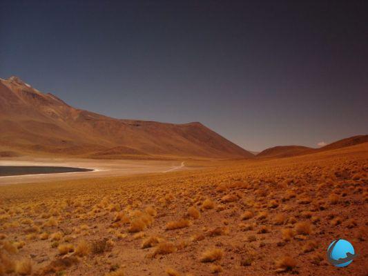 Perché andare in Cile? Fai un viaggio nella Terra del Fuoco!