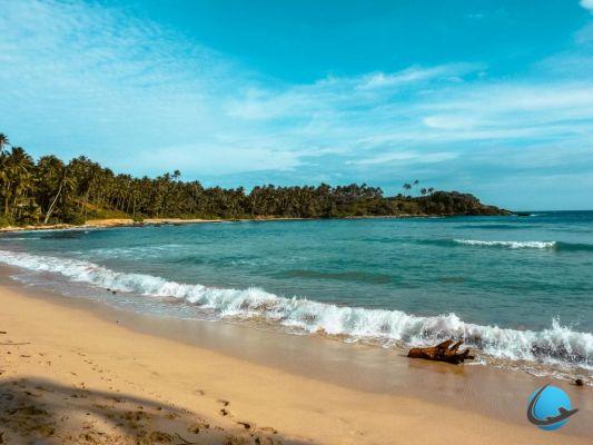 Las 10 mejores playas de Sri Lanka