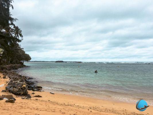 Las 10 mejores playas de Sri Lanka