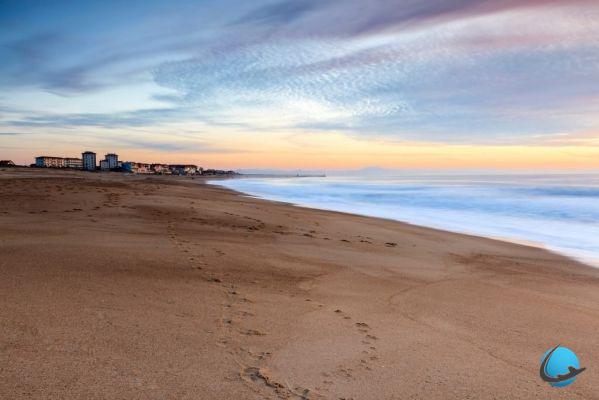 What to do in the Landes? 10 visits not to be missed!