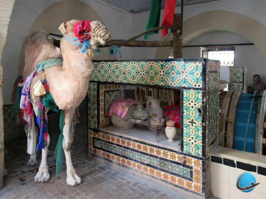 Kairouan: our 7 essential visits to do!