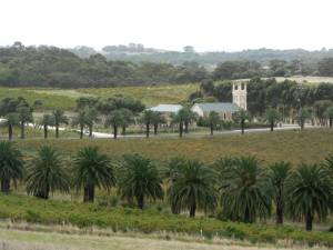 Barossa e Clare Valley – regiões vinícolas da Austrália