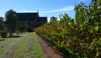 Barossa and Clare Valley – Australia's wine regions