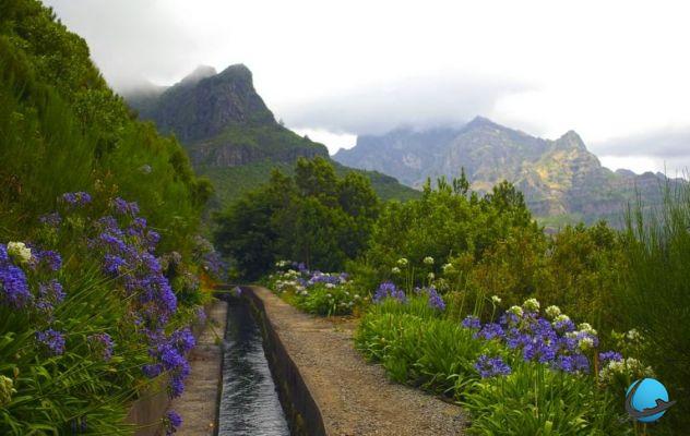 8 cosas que no debe perderse en Madeira