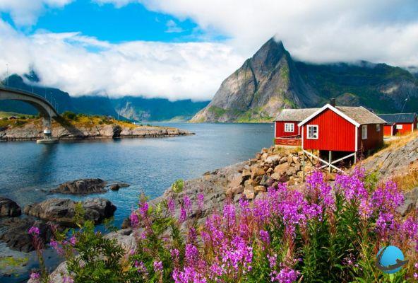 Tutto quello che devi sapere sulla Norvegia prima di visitare il paese