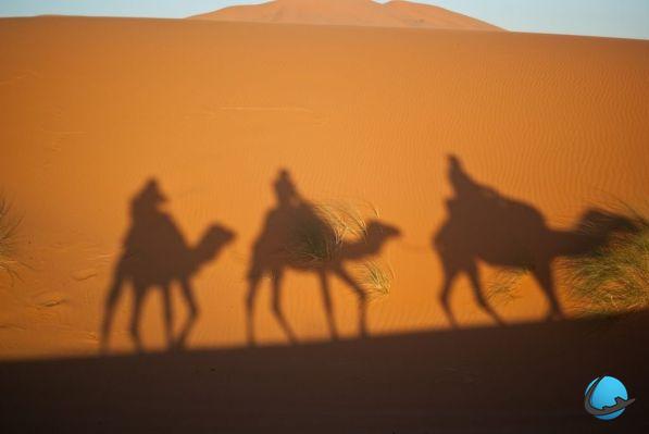 Marruecos en familia, lo imprescindible antes de partir