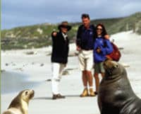 Safari avventura di XNUMX giorni nel deserto dell'isola dei canguri da Adelaide