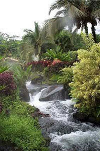 Arenal Volcano and Hot Springs