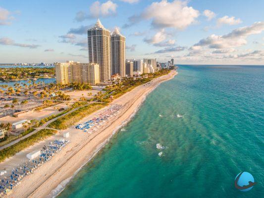 Why go to Miami? Sun, beaches and crocodiles!