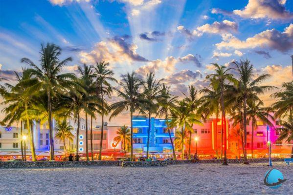 Why go to Miami? Sun, beaches and crocodiles!