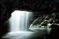 Glowworm Cave and Natural Bridge Tour from Gold Coast